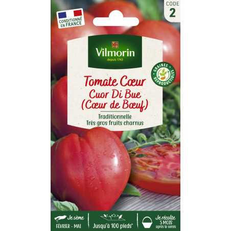 Tomate Cœur de Bœuf Cuor Di Bue | Gros Fruits Charnus | Vilmorin