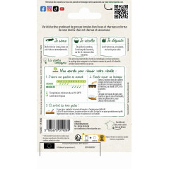 Cuor di Bue Rinderherz-Tomate | Große fleischige Früchte | Vilmorin