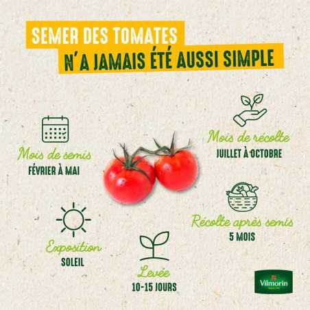 Tomate corazón de ternera Cuor Di Bue | Frutos Carnosos Grandes | Vilmorin
