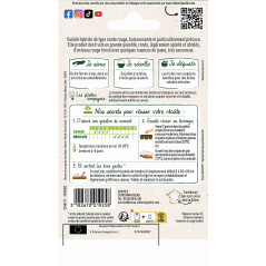 Sachet graines Tomate fournaise HF1