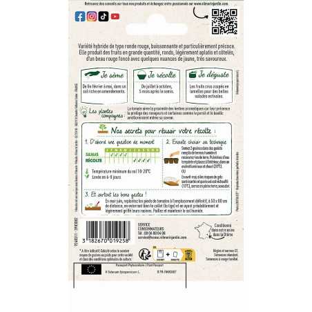 Sachet graines Tomate fournaise HF1