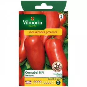 Product sheet Tomato Cornabel HF1