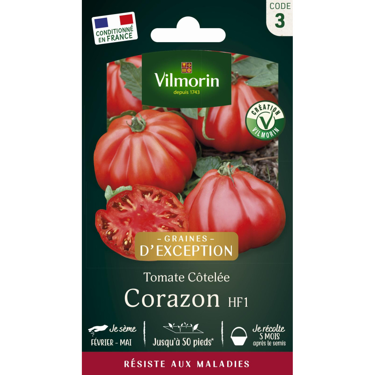 Graines Tomate Corazon HF1 | Type Cœur de Bœuf Productive