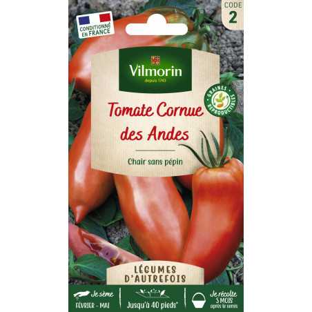 Sachet graines Tomate cornue des Andes
