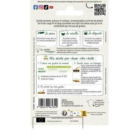 Sachet graines Tomate cornue des Andes