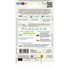 Sachet graines Tomate Agora HF1