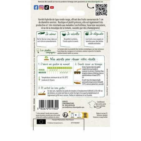 Sachet graines Tomate Agora HF1