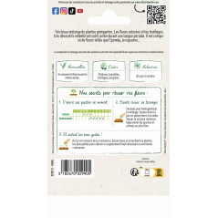Sachet graines Fleurs grimpantes