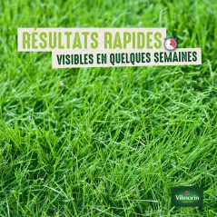 Ideal grass for robot lawn mower - Professional quality blend 100% Vilmorinseeds
