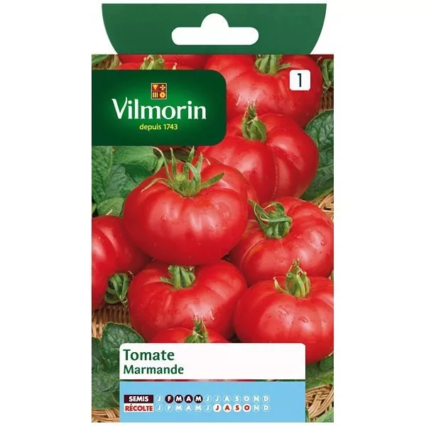 Product sheet Tomato Marmande