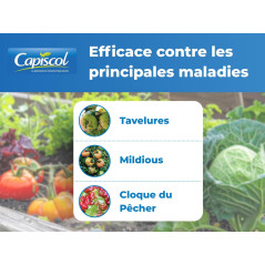 Bordeaux Mixture SOLABIOL 1 kg | Organic Fungicide 250 L | SOBB1000