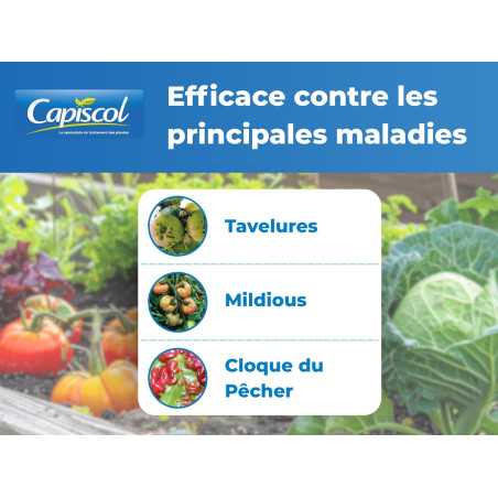 Mezcla de Burdeos SOLABIOL 1 kg | Fungicida orgánico 250 L | SOBB1000