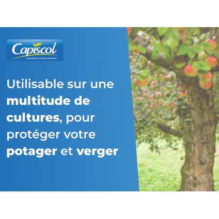 Bouillie Bordelaise SOLABIOL 1 kg | Fongicide Bio 250 L | SOBB1000