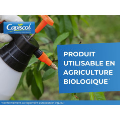 Bordeaux Mixture SOLABIOL 1 kg | Organic Fungicide 250 L | SOBB1000