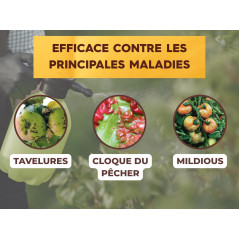 Bordeaux-Brei SOLABIOL 200 g | Organisches Fungizid 50 L | SOBOU200S