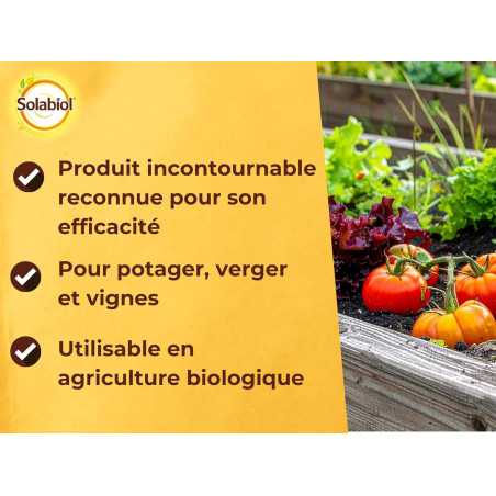 Gachas de Burdeos SOLABIOL 200 g | Fungicida orgánico 50 L | SOBOU200S