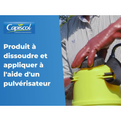 Bouillie Bordelaise CAPISCOL 500 g | Fongicide Bio 125 L | BB500