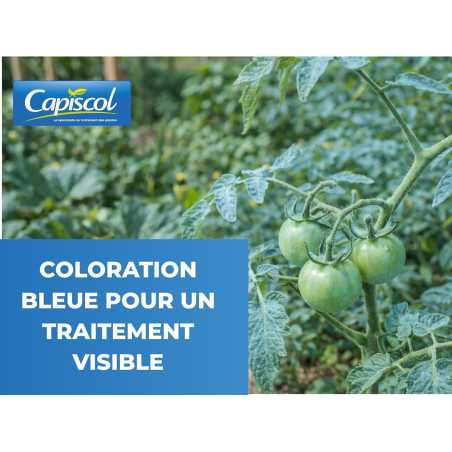Pappa di Bordeaux CAPISCOL 500 g | Fungicida Biologico 125 L | BB500