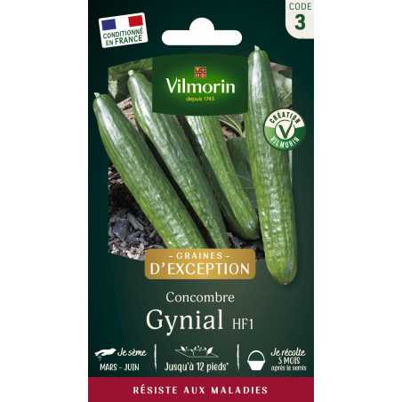 Vilmorin Semi di Cetriolo Gynial HF1 - Varietà Produttiva