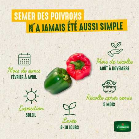 Vilmorin Graines Poivron Padron Espagnol Cuisine Galice