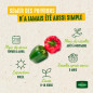 Beutel Samen Poivron Padron