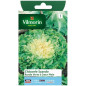 Bag seeds Chicory Scarole round green to full heart