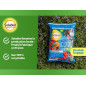 Engrais Bleu Universel Solabiol 4 kg - SOBLEU4 - Nutrition et Croissance Toutes Cultures Engrais Bleu Universel Solabiol 4 kg - SOBLEU4 - Nutrition et Croissance Toutes Cultures