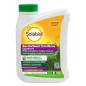 Revitalisant Conifères Cyprevert Solabiol 750 g - SOCYP750S - Anti-Brunissement Bio Revitalisant Conifères Cyprevert Solabiol 750 g - SOCYP750S - Anti-Brunissement Bio