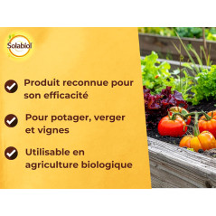 Bordeaux Porridge SOLABIOL 300 g | Organic Fungicide 75 L