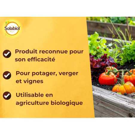 Bordeaux Porridge SOLABIOL 300 g | Organic Fungicide 75 L