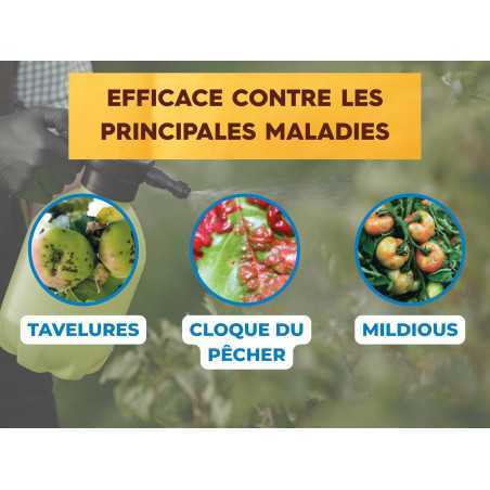 Bordeaux-Brei SOLABIOL 300 g | Organisches Fungizid 75 L
