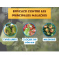 Kopie von Bordeaux-Brei SOLABIOL 300 g | Organisches Fungizid 75 L Kopie von Bordeaux-Brei SOLABIOL 300 g | Organisches Fungizid 75 L