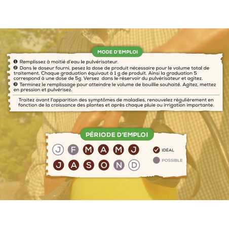 Bordeaux Porridge SOLABIOL 300 g | Organic Fungicide 75 L