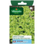 Bag seeds Lettuce to cut Oak leaf blonde black seeds