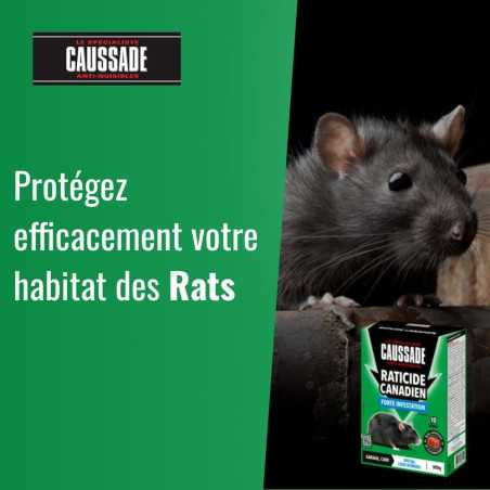 Pasta Fluorescente Antirratas y Ratones Caussade | Rastreo UV