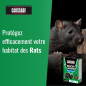 Fluoreszierende Anti-Ratten und Mäuse Pasten Caussade - Schock-Tracking-Technologie Fluoreszierende Anti-Ratten und Mäuse Pasten Caussade - Schock-Tracking-Technologie