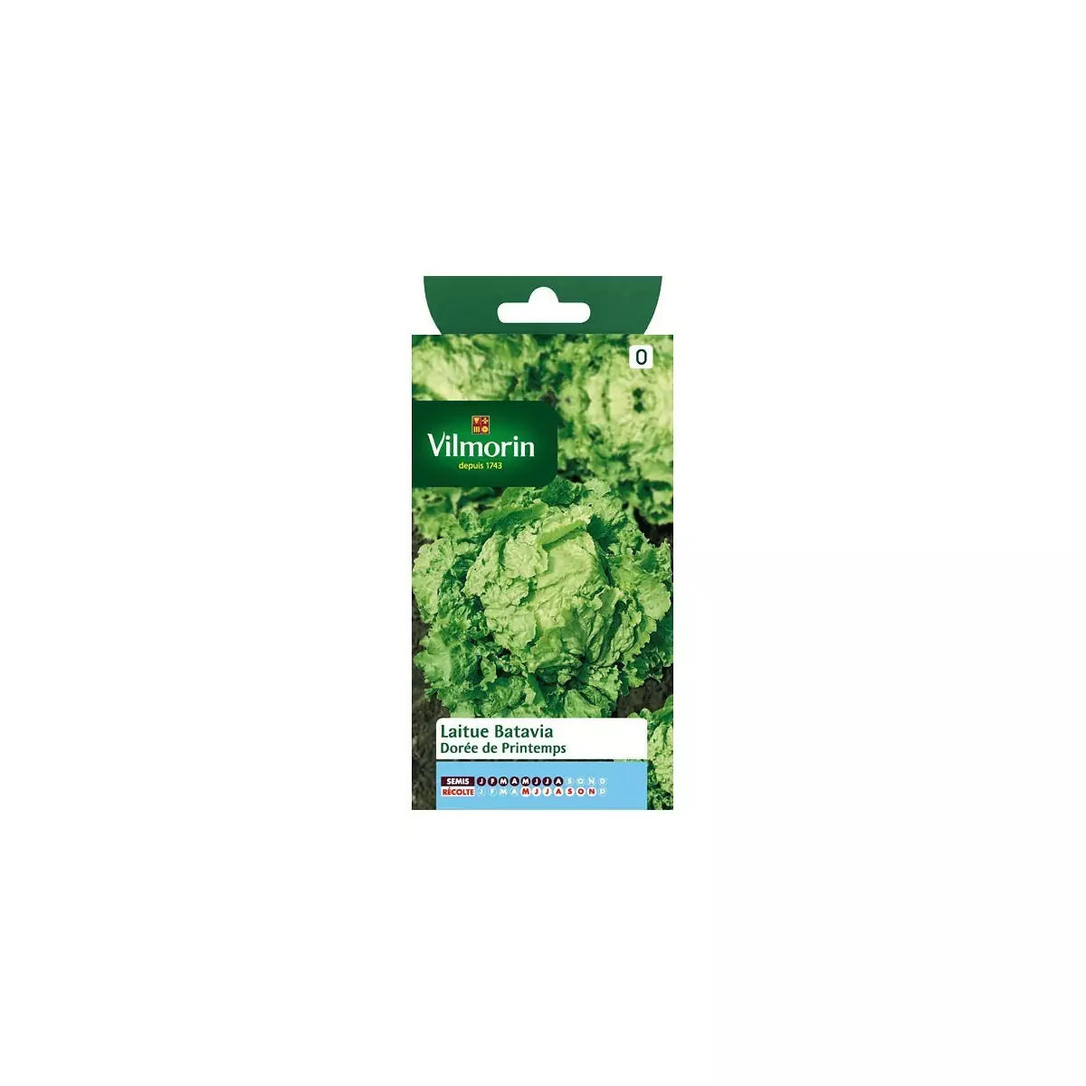 Product sheet Spring Golden Batavia lettuce