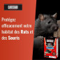 Caussade Pest Solution - Fluorescent Baits Strong Infestation Damp Places