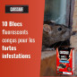 Caussade Pest Solution - Fluorescent Baits Strong Infestation Damp Places
