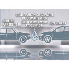 Lot de 4 Canettes de Gaz Climapure 12a - Remplacement pour R12 et R134a