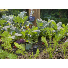 Kit d'arrosage connecté smart Sensor Control - GARDENA