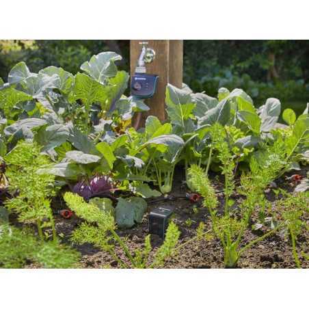 Kit d'arrosage connecté smart Sensor Control - GARDENA