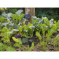 copia di Kit di irrigazione collegato per il controllo intelligente del sensore - GARDENA copia di Kit di irrigazione collegato per il controllo intelligente del sensore - GARDENA