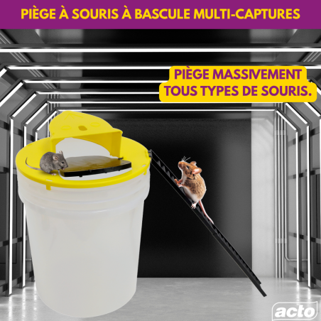 Piège à Bascule Multi-Captures Souris ACTO | PIEGES6