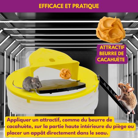 ACTO Multi-Catch Tilting Mouse Trap | PIEGES6 Self-Resetting Bucket Li