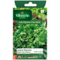 Bag seeds Lettuce Batavia Ice Queen Bag seeds Lettuce Batavia Ice Queen