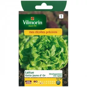 Product sheet Lettuce Gotte yellow gold