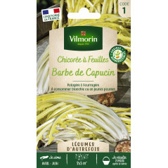Sachet graines Chicorée à feuilles sauvage Amère Barbe de capucin