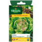 Bag seeds Queen of May lettuce from the open ground