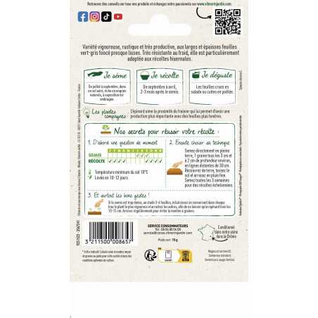 Sachet graines Epinard geant d'hiver